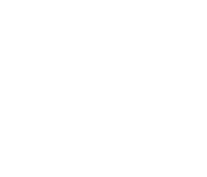 TEG